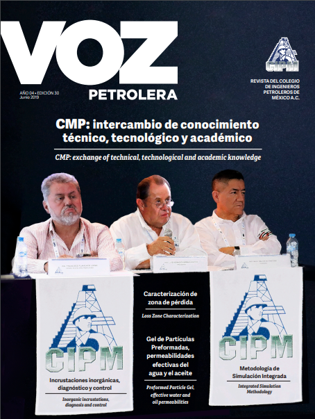 Texto Título Imagen Texto Alterno Imagen