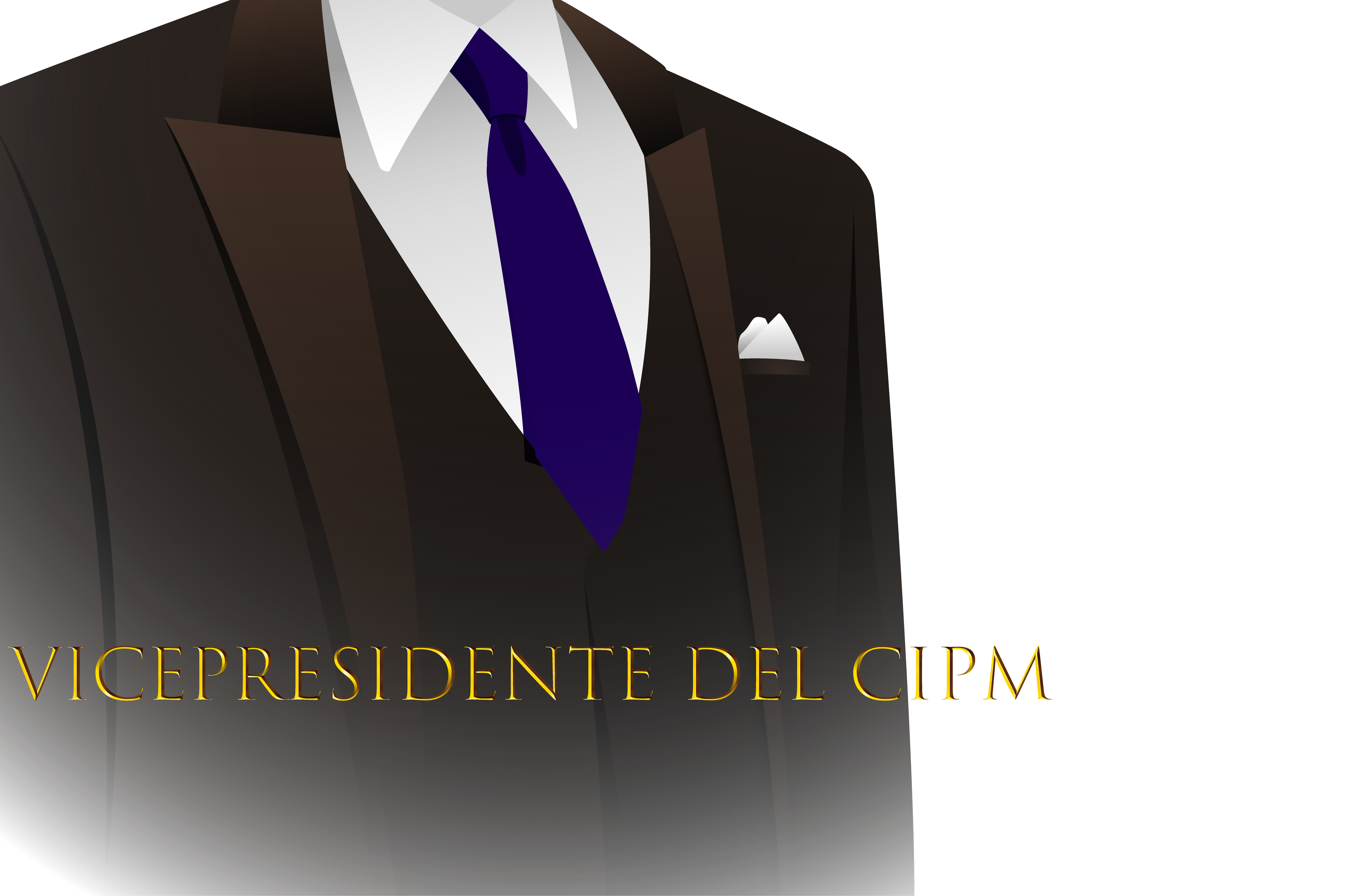 Imagen para Vicepresidente