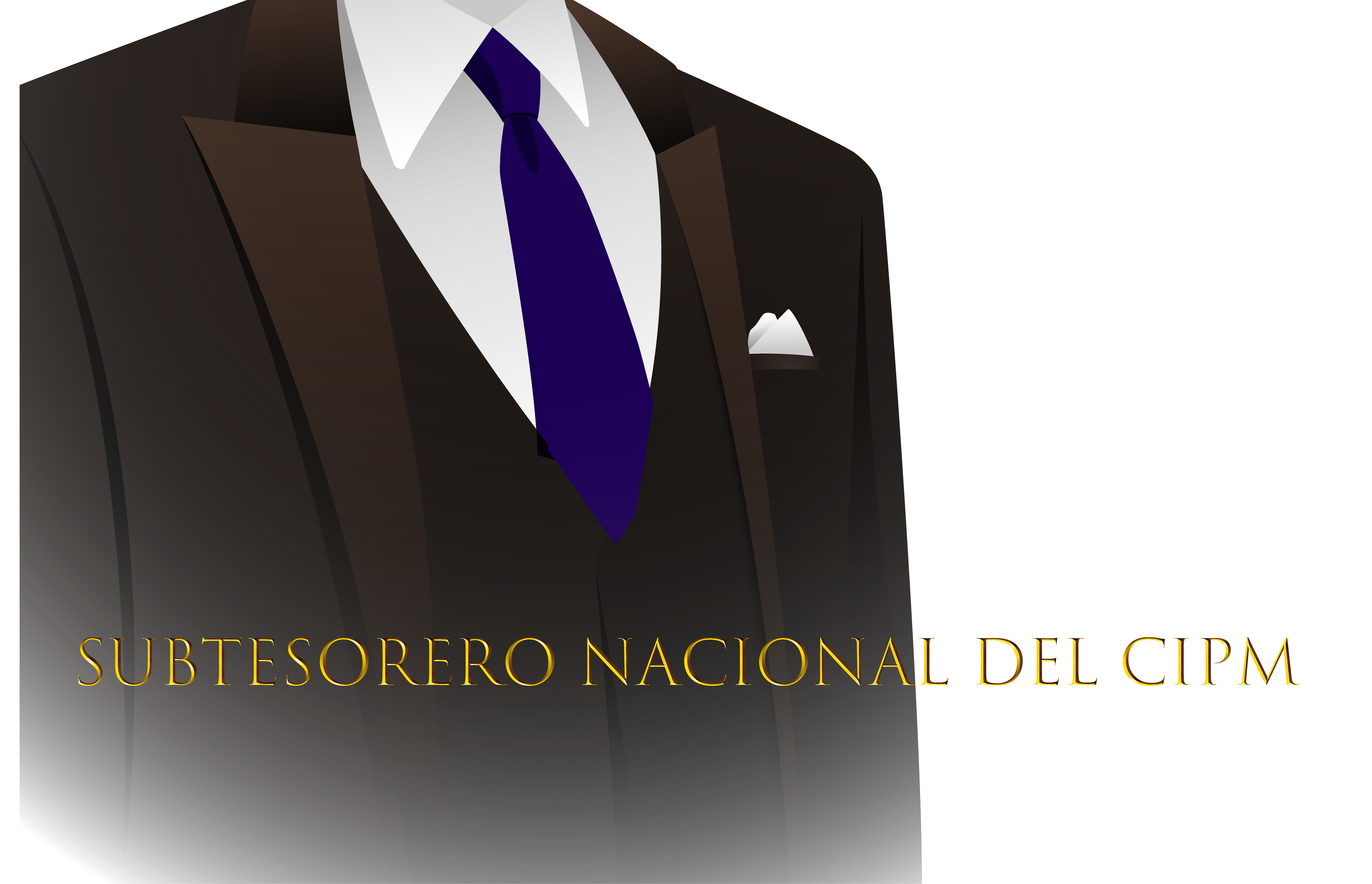 Imagen para Subtesorero 